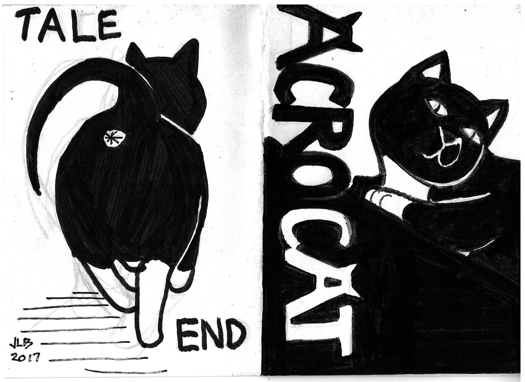 Acrocat Zine Covers — Steemit